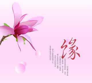 什么能说明男女有缘分 ?一曲《缘分》送给有缘的你！