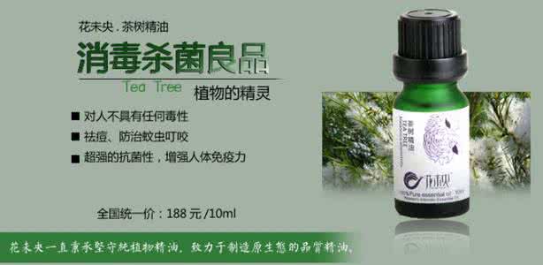 茶树精油的使用方法 茶树精油 茶树精油使用方法