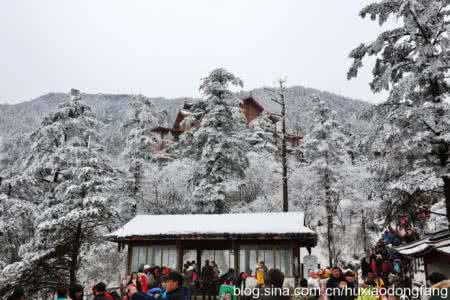 四川峨眉山 四川峨眉：人潮汹涌上峨眉山赏雪