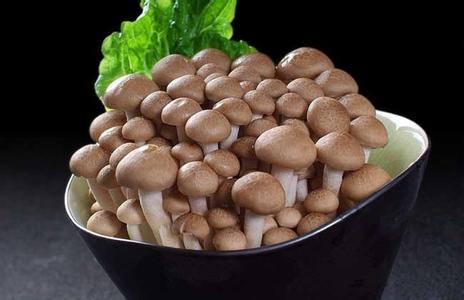 蟹味菇不能与什么同食 蟹味菇的营养价值