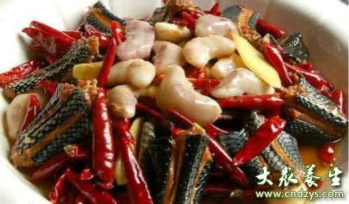 蛇肉怎么做好吃 野生蛇肉怎么做好吃?