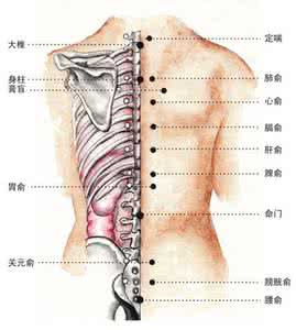 手臂拔罐位置示意图 瘦大臂拔罐拔哪个部位 瘦手臂的穴位有哪些