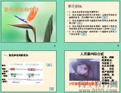 染色体变异类型 染色体变异 它有哪些变异类型