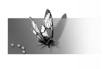 巴纳姆效应 关于巴纳姆效应、蝴蝶效应、多看效应、从众心理、三分之一效应 90_三分之一效应