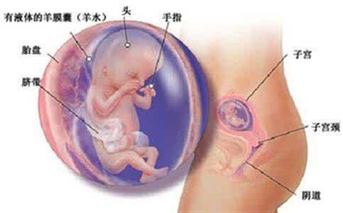 怀孕做nt检查哪个部位 怀孕小孩在什么部位 怀没怀过孕，从这个部位一眼就看出来了