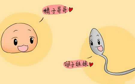 精子和卵子排斥怎么办 备孕时期精子和卵子排斥怎么办