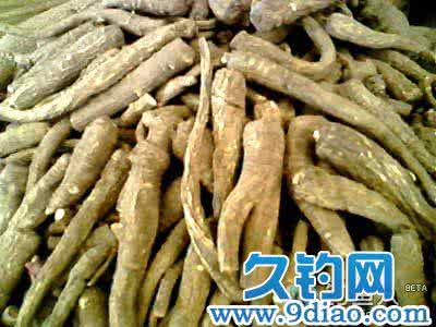 中药诱鱼配方 哪些中药可以用于钓鱼?常见中药诱鱼剂