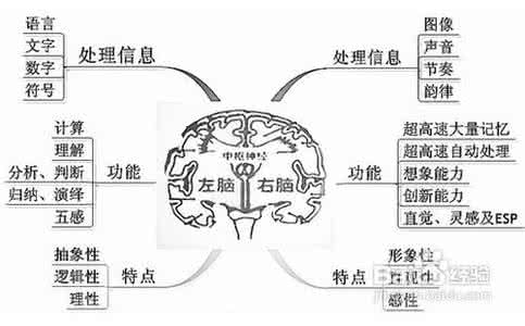 右脑王 右脑王英语学习法(一)_右脑王