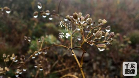 寒露节气 寒露节气已至 生活中需防寒凉