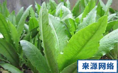 糖尿病患者吃的蔬菜 这几种蔬菜糖尿病患者千万不能吃