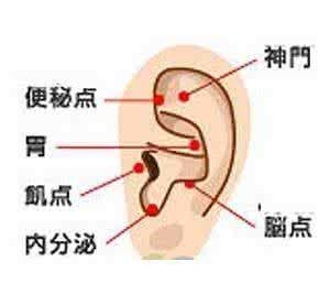 减少饥饿感 按压耳穴1分钟可减少饥饿感(组图)