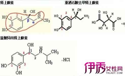 肾上腺素的作用 肾上腺素的作用 正确使用肾上腺素