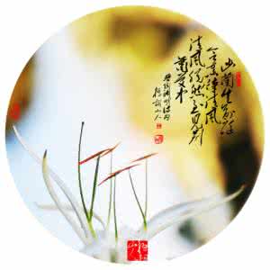 禅心侠影 走 流光中的诗意禅心——影画技法详解