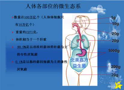 益生菌有什么功效 分析益生菌到底能够起到什么效果