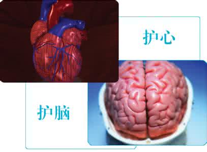 心脑血管疾病特效药 图文：疏通血管治疗心脑疾病特效验方