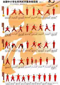 全国武术锦标赛 武术理论与实战知识锦集(体育健身知识大全)