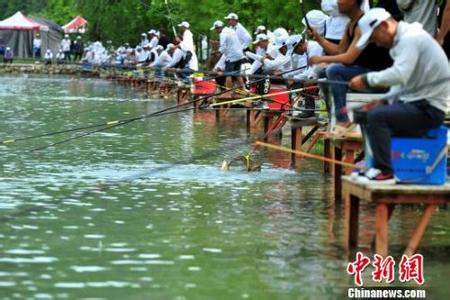 河豚肝毒素高温破坏 连续的高温也丝毫未减弱钓友对河钓大赛的热情！！