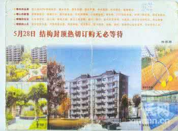 网球常识 网球常识 网球场上的一些“意外事故”