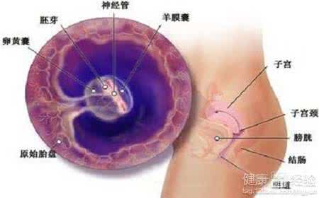 怀孕7周能做药流吗 怀孕二周能做药流吗 怀孕3周能做药流吗