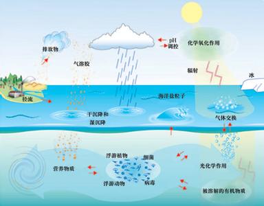 参与大气循环的气体 气体在海洋与大气间的交换