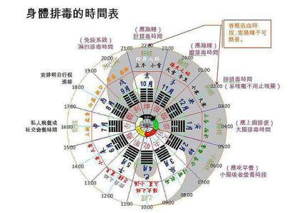 晚上睡觉排毒时间表 人体排毒时间表，别再信了
