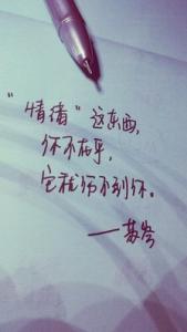 不在乎我的伤感 日志 你不在乎，它就伤不到你