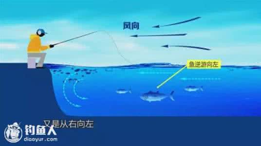 水库野钓鲫鱼技巧 图解水库野钓鲫鱼的钓位选择技巧