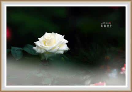 愉悦与苦痛 甜蜜隔着苦痛