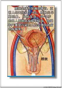 人体器官分析图 人体器官与病理分析