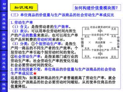 政治经济文化社会生态 《经济政治与社会》教学计划 经济政治与社会