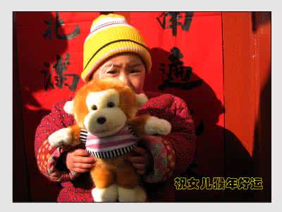 猴子是保护动物吗 猴年身上戴这物保你一生好运