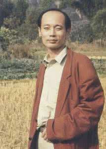 人到中年脱发的原因 为什么男人到中年容易脱发？