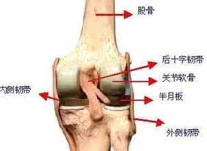 滑膜炎预防方法 滑膜炎怎么预防 预防滑膜炎的方法有哪些