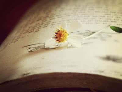 温暖心灵的情感美文 断想【情感美文】