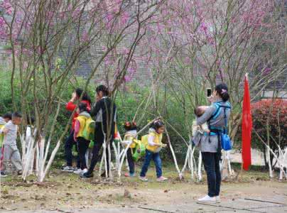 携手看花深径 阳春三月，谁与我携诗看花？