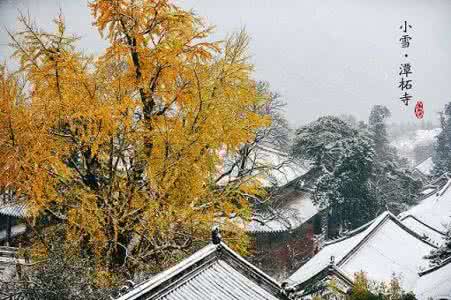 北京的冬天 北京的冬天 北京的冬天有点冷还有雾霾,但一下雪,总是美得让人挪不开脚步!