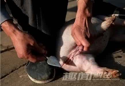 鬼神崇拜 崇拜与恐惧！奇特的珞巴族的鬼神禁忌