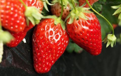 长痘痘吃什么水果排毒 春季不可错过的10种排毒水果