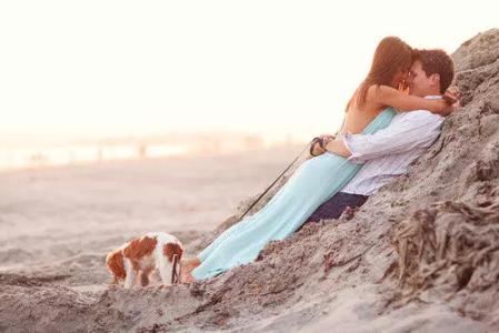 都是爱情惹的祸 所有爱情都是这样发生的