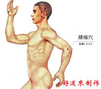 平衡针灸重点穴位：醒脑穴