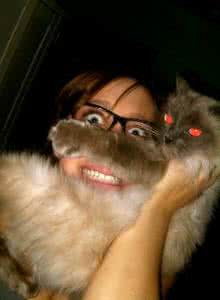 我是猫作品赏析 作品赏析:“人猫合一”错位摄影