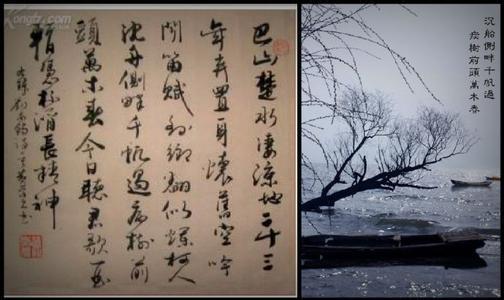 沉舟侧畔千帆过 用古诗词给自己做个年度总结：沉舟侧畔千帆过，病树前头万木春