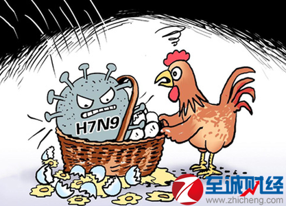 陕西确诊首例h7n9病例 陕西确诊首例h7n9病例 山西省确诊首例人感染H7N9病毒病例 病情较重