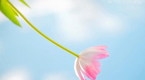 清晨3分钟改变你一生 改变你一生的秘诀，你愿意花几分钟看完它吗？几分钟决定你的人生