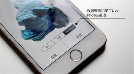 第一条会说话的狗真相 你真的会用iphone吗？第一条你就不知道
