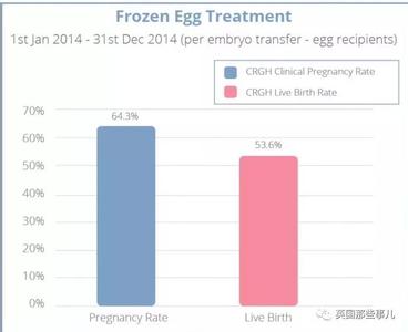 冻卵复苏移植成功率 冻卵真的可增加怀孕率吗