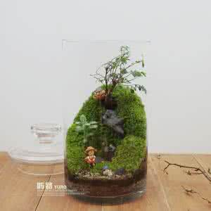 苔藓微景观制作 苔藓微景观瓶制作