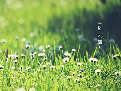 光阴 中国人的节气 中国人的光阴: 小满