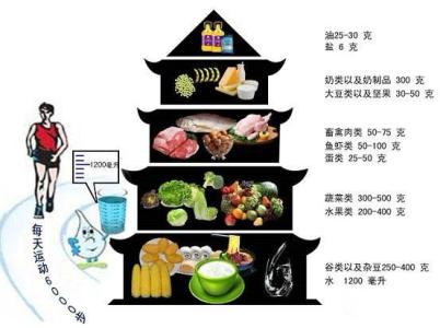 平衡膳食塔 平衡膳食多样化 没有垃圾食品只有垃圾搭配