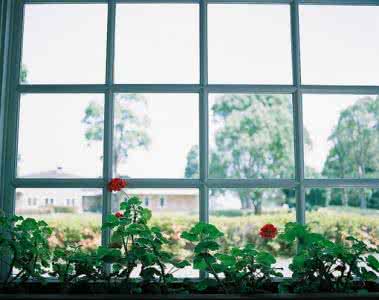 肩袖伤需要静养多久 静赏繁华处，惟有香盈袖